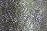 Bentham fibreglass roof work